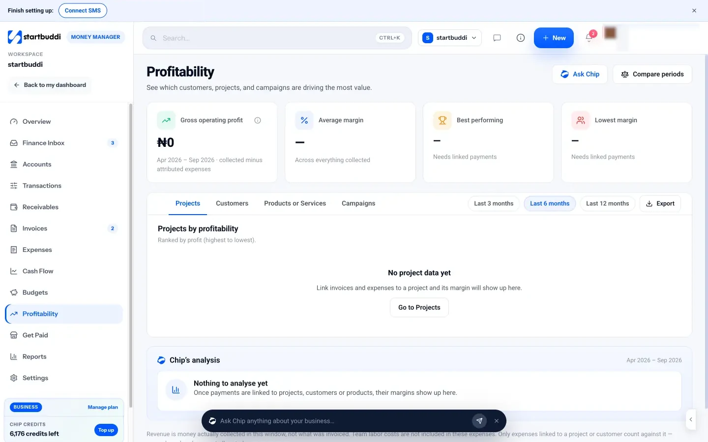 startbuddi: The Profitability page, ranking projects and customers by revenue, attributed expenses, profit and margin