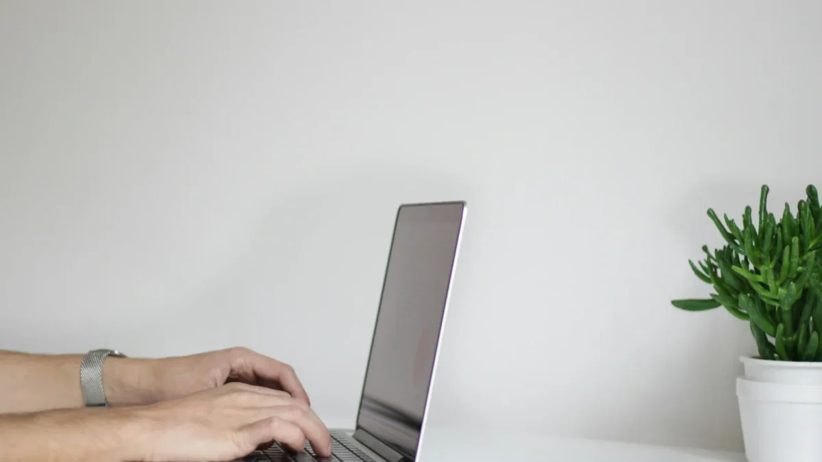 Hands typing on a laptop at a white desk beside a potted succulent, learning how to create a client portal